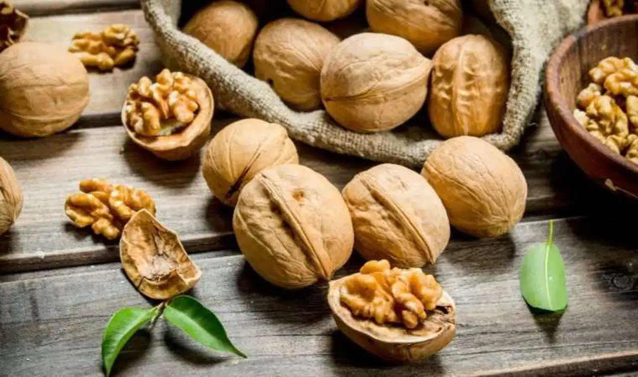 Neden sistemli ceviz tüketmeliyiz? Ceviz hakkında merak edilenler…