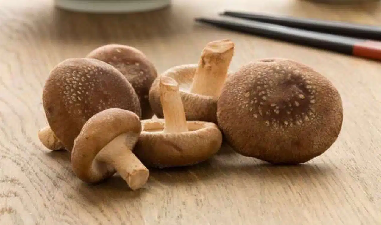 Shiitake mantarı nedir, nasıl pişirilir?