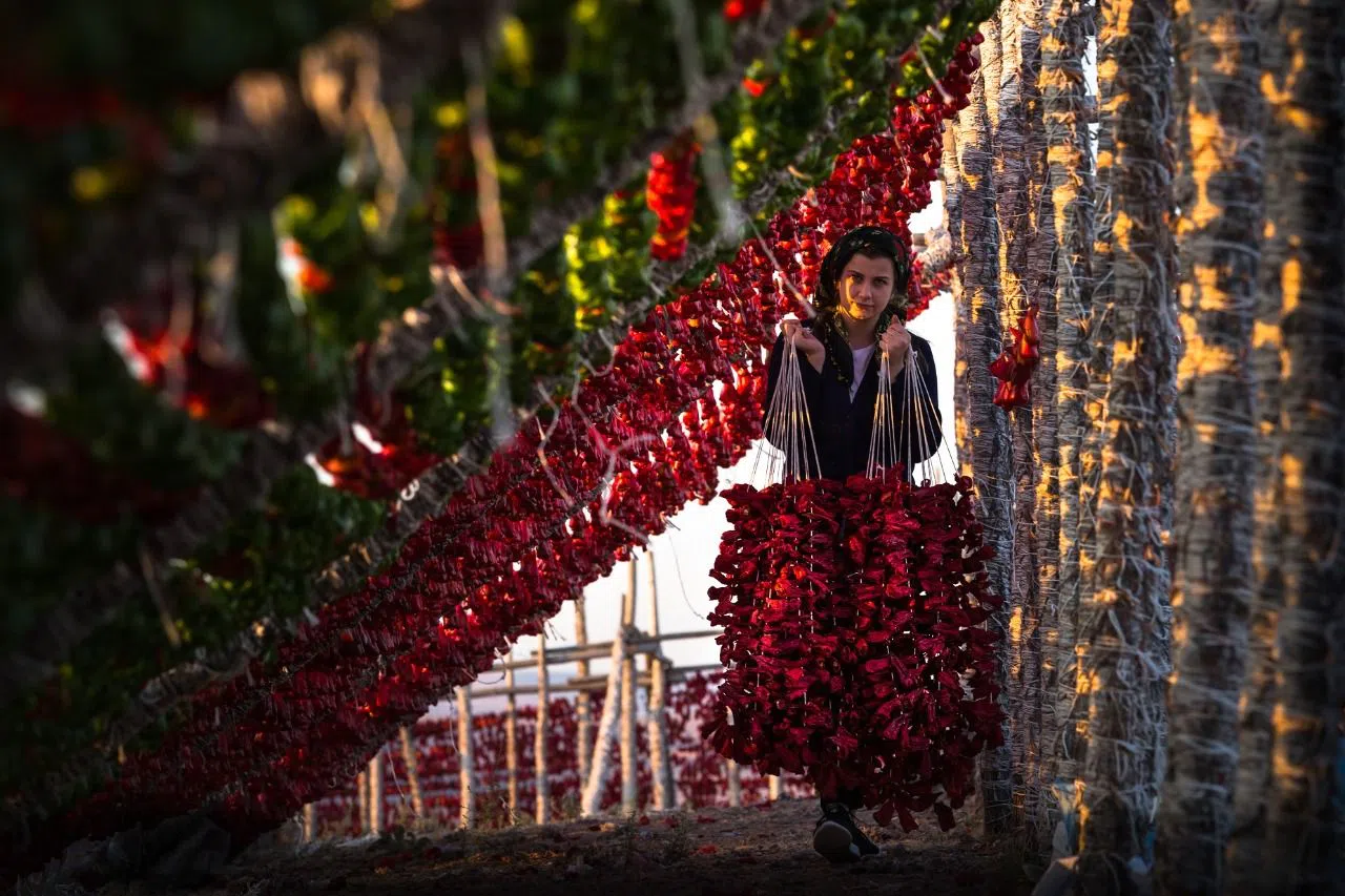 Gaziantep’in lezzetleri dünya mutfaklarında!