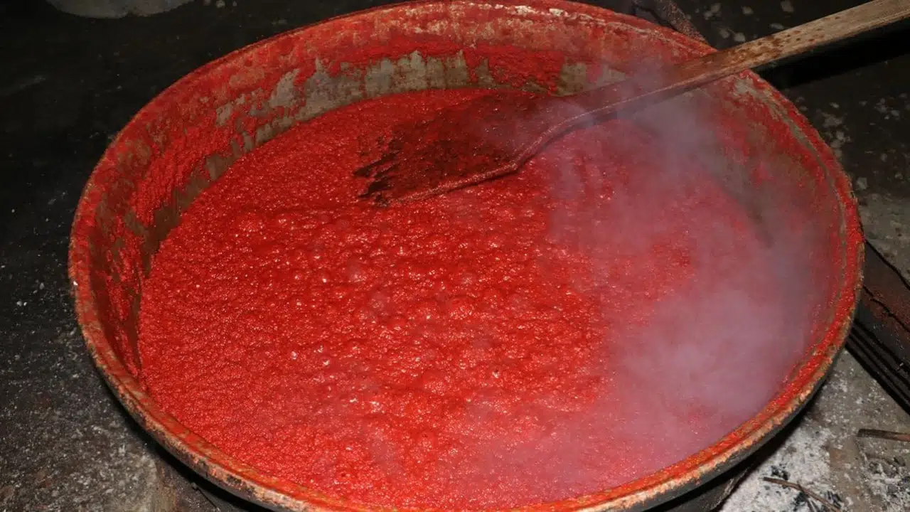 Şimdi salça zamanı