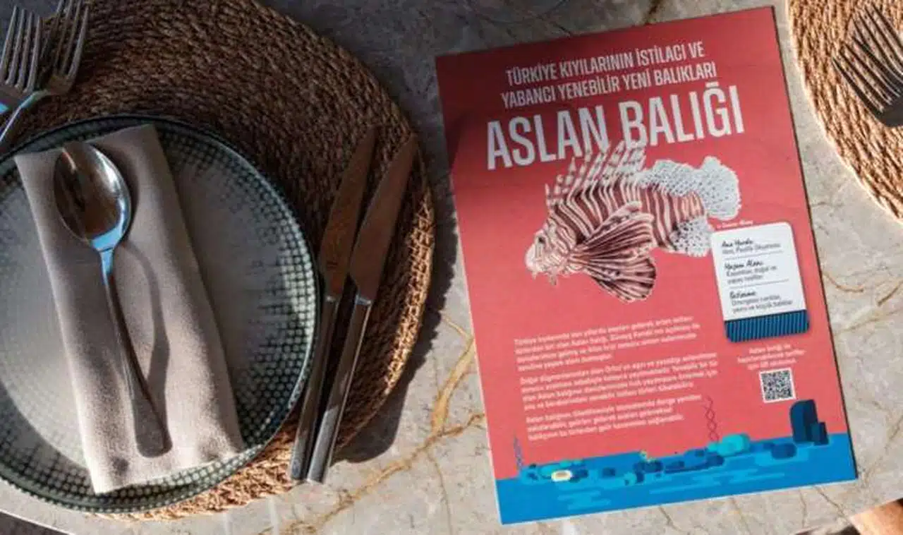Akdeniz Müdafaa Derneği’nden yeni balıklar tadım etkinliği…