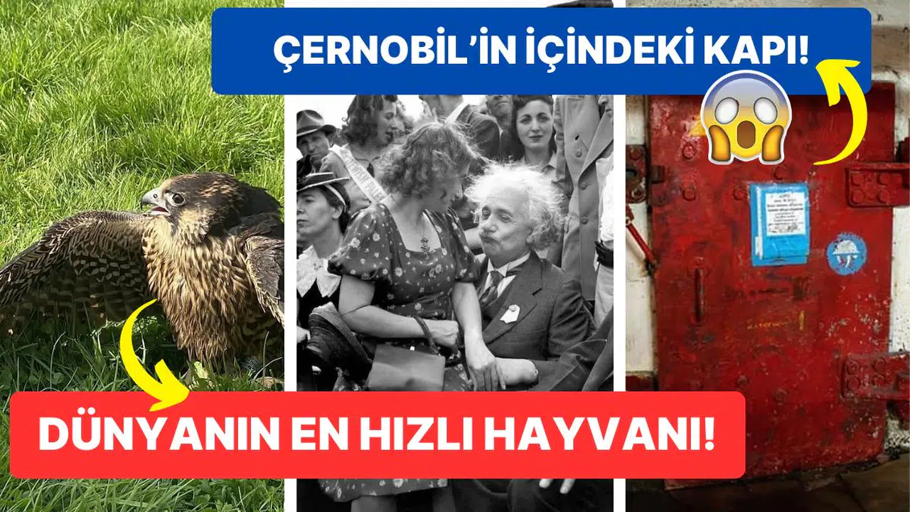 Tarihten Günümüze Hayatı Sorgulamanıza Sebep Olmaya Aday Birbirinden Değişik 17 Görsel