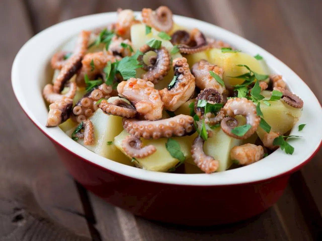 Salade De Poulpe