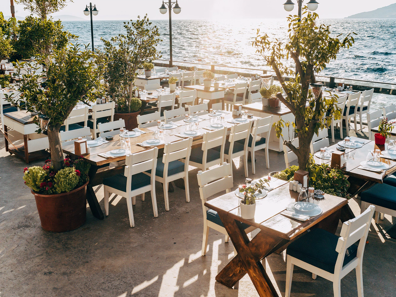 d.ream’in Bodrum’daki Restoranlarında Yaz Coşkusu Başlıyor!