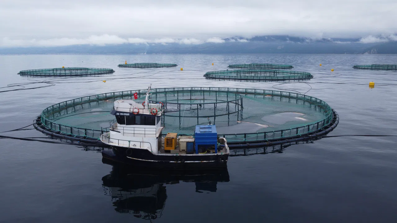 Metro Premium Türk Somonu Nisan’da Sofralarla Buluşuyor