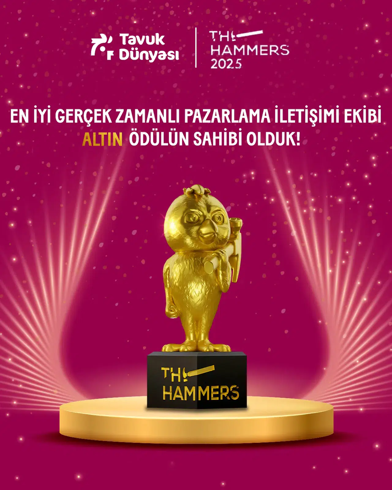 Tavuk Dünyası, The Hammers Awards Töreni'nde Altın Ödül ile taçlandırıldı!