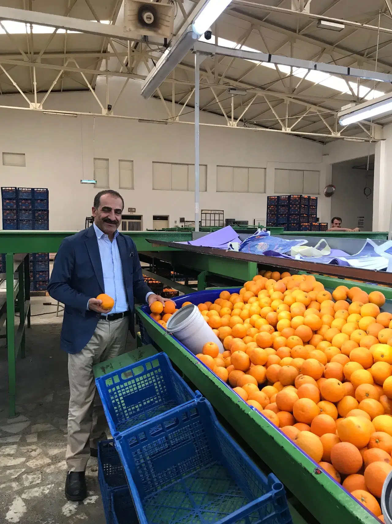 Satsuma Mandalinalarının Dünyaya Açılan Kapısı: İhracat Süreci 17 Ekim’de Start Alıyor!