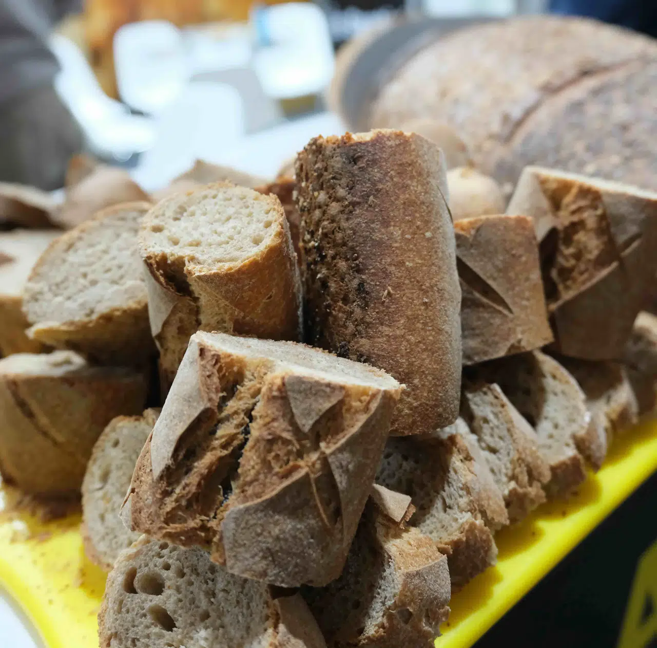 Geleceğin Fırıncılık Teknolojileri: Bakery Plus 2025 ile Devrim Niteliğinde Tanıtım!