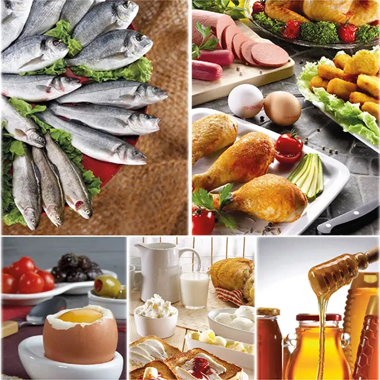 Ege Bölgesi, Su Ürünleri ve Hayvansal Mamuller İhracatında Öne Çıkıyor: Yüzde 47'lik Pay!