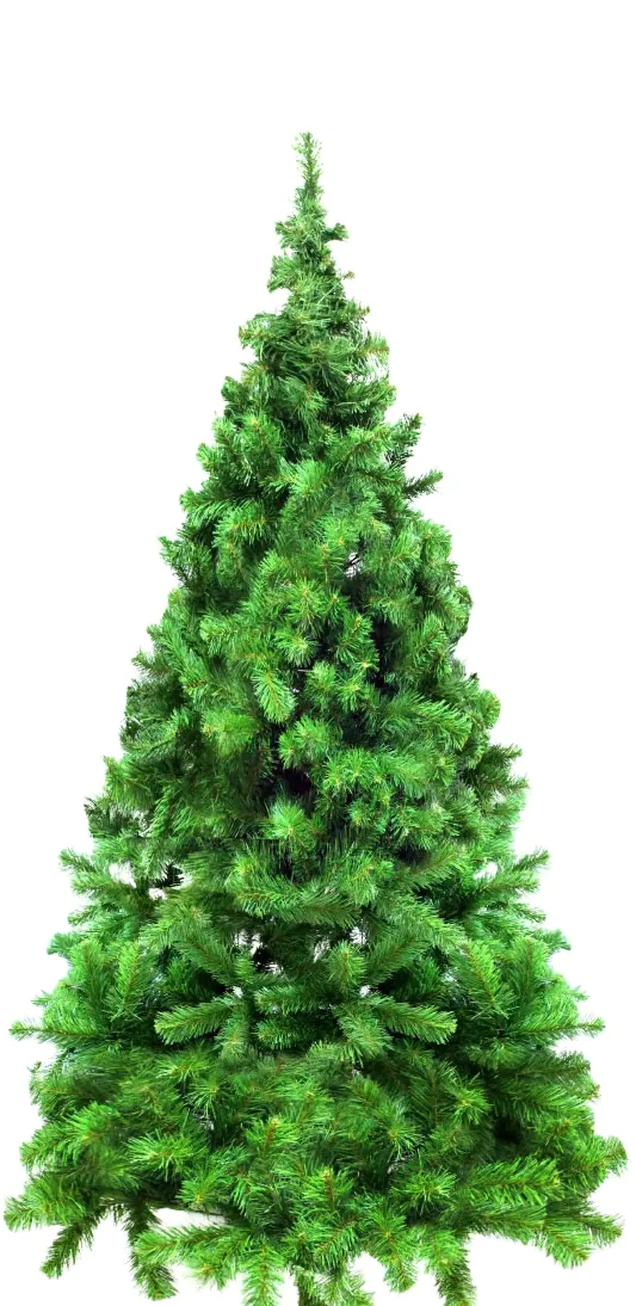 Yeni Yıl Coşkusu Haneye Yansıyor!