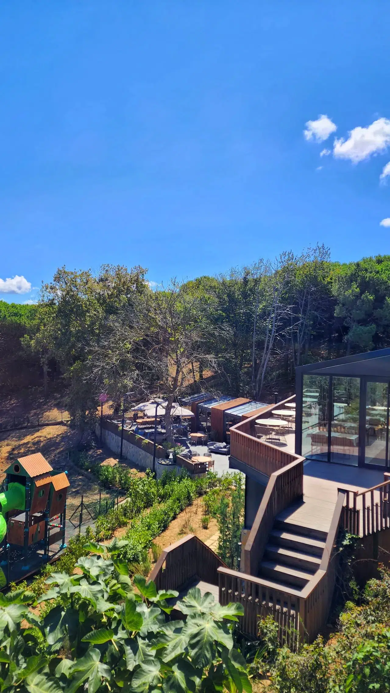 Laurel, İstanbul'da Unutulmaz Bir Kahvaltıdan Akşam Yemeğine Uzanan Lezzet Yolculuğu Sunuyor!