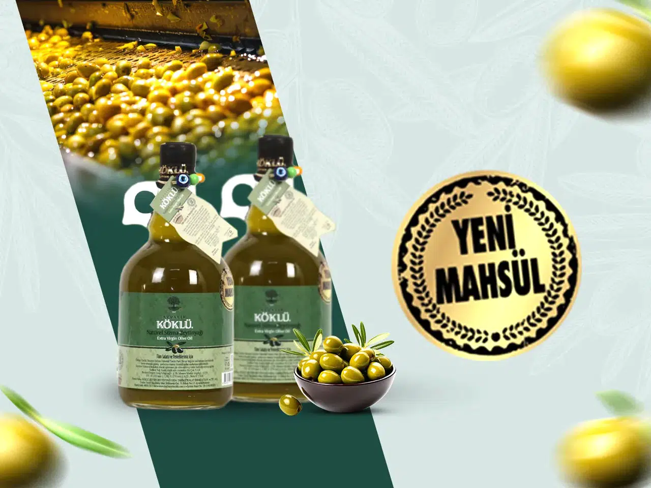Köklü Firması, Taze Üretim Zeytinyağını Piyasaya Sürdü!