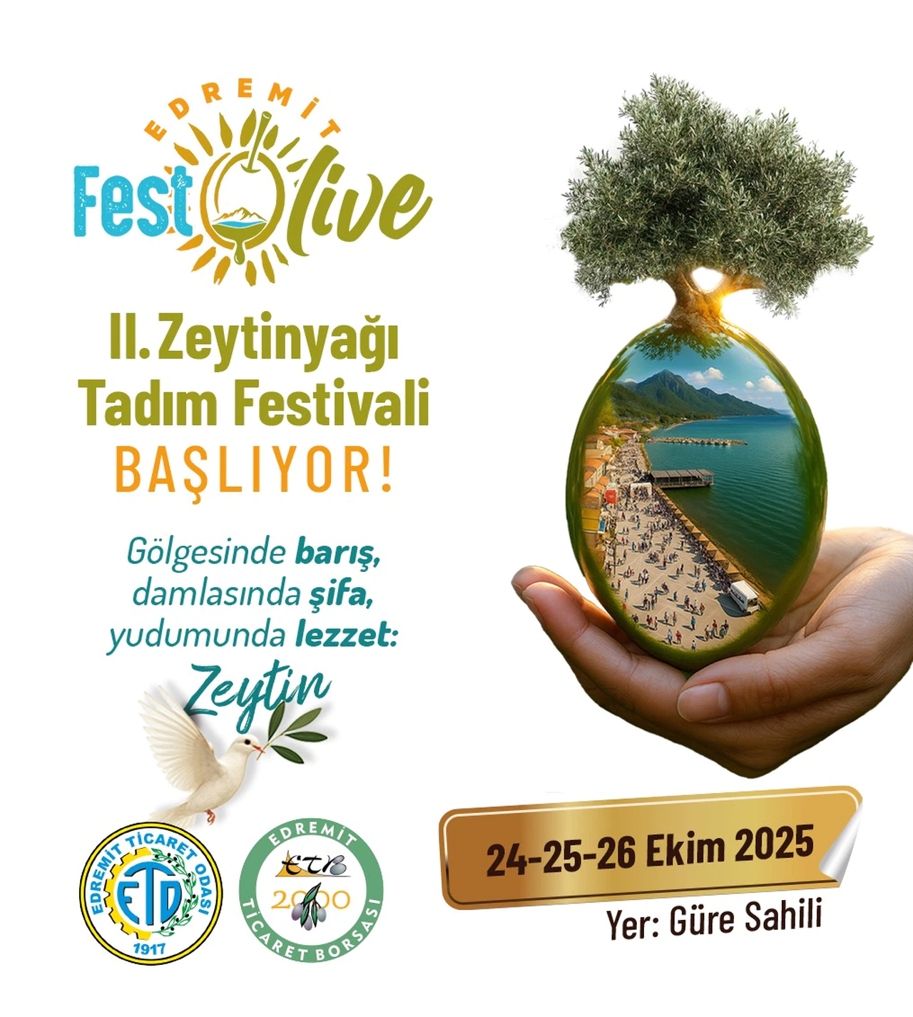 FestOlive 2. Edremit Zeytinyağı Tadım Festivali 24-25-26 Ekim’de Başlıyor