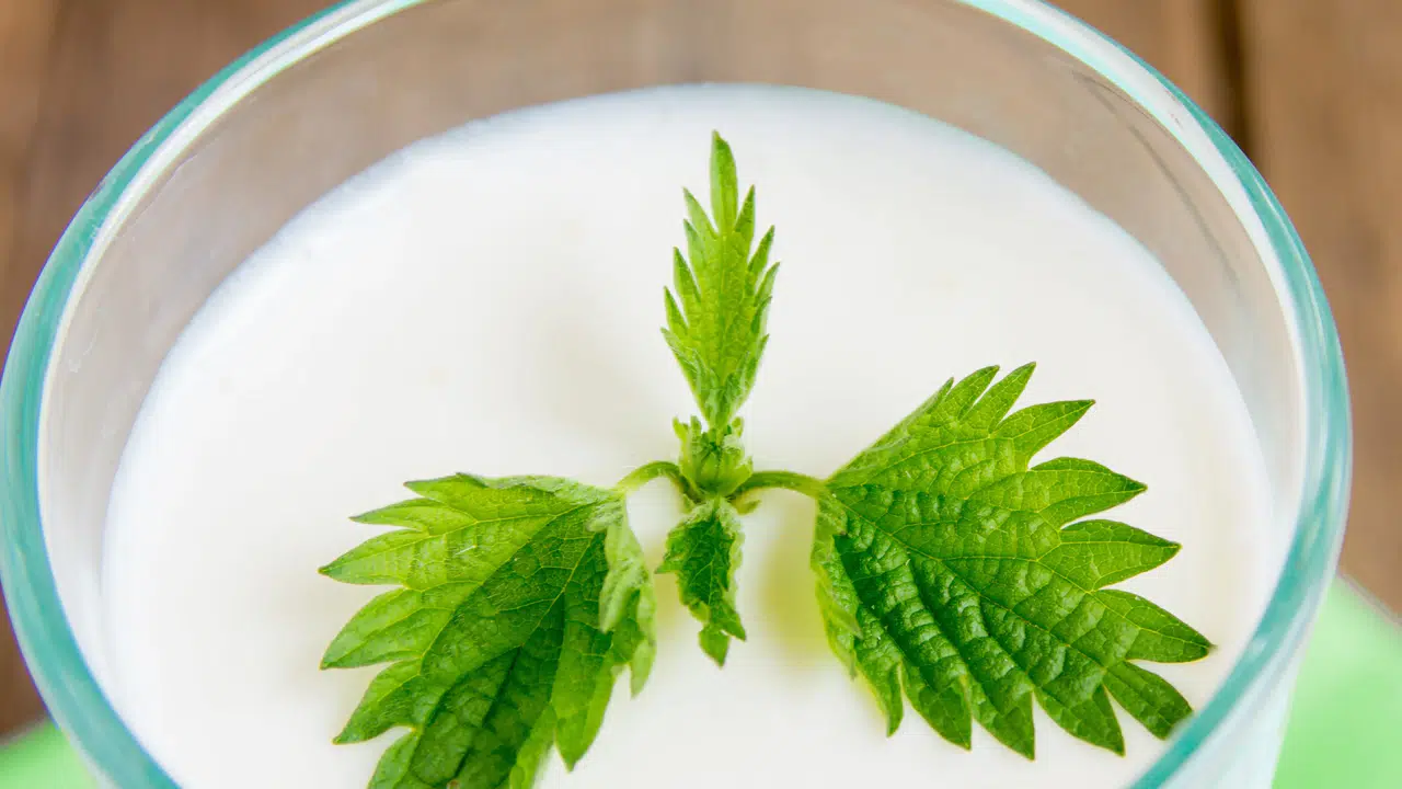 Süt Ürünleri: Susuzluğu Gidermede Etkili Bir Alternatif!