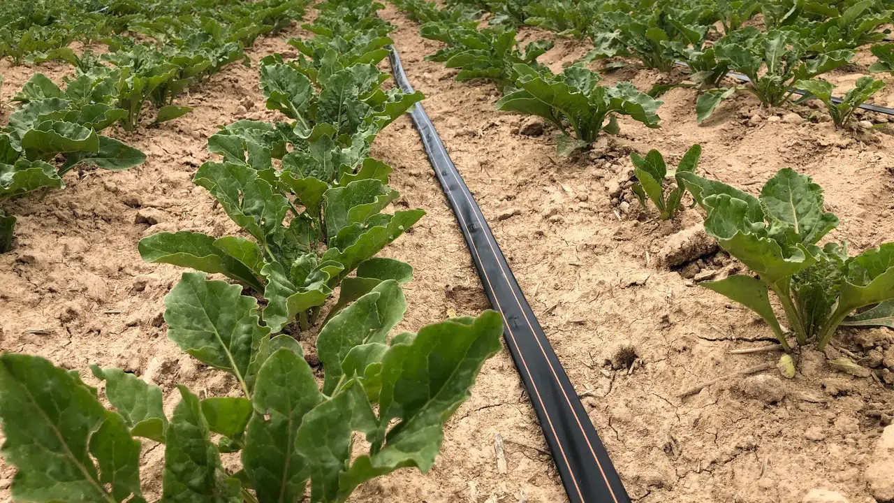 NETAFIM Türkiye, 2026-2035 Ulusal Su Planı ile Entegre Su Verimliliği Stratejisini Uygulamaya Alıyor!