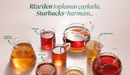 Starbucks'ta Yeni Çay Ailesiyle Tanışmanın Tam Zamanı!