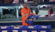 Migros, Yeni Projesiyle Türkiye'nin Dört Bir Yanına 15 Bin Ton Taze Balık Dağıtacak!