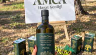 Sadık Amca Zeytinyağları'nda Erken Hasat Sezonu Coşkuyla Başladı!
