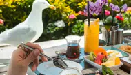 Conrad İstanbul Boğazı'nın Göz Alıcı Manzarasında Mükemmel Kahvaltı Keyfi Başlatıyor!