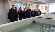 Türkiye Su Ürünleri Üretiminde Rekor Kırdı, İhracat Gelirleri Artıyor