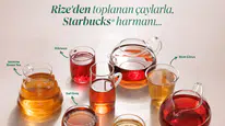 Starbucks'ta Yeni Çay Ailesiyle Tanışmanın Tam Zamanı!
