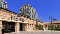 Olive Fest 2026: Antalya'dan İstanbul'a Eşsiz Bir Lezzet ve Kültür Festivali!