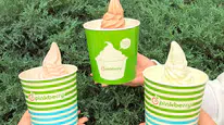 Yaz Aylarını Pinkberry ile Serinletici ve Lezzetli Bir Şekilde Geçirin!
