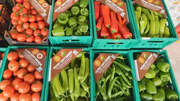 ŞOK Marketler'de Pestisit Kontrolü Genişliyor: Domateslerin Ardından Biberler de İnceleniyor!