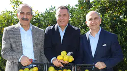 Satsuma Mandalinasında İhracat Sezonu Başladı!