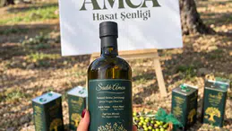 Sadık Amca Zeytinyağları'nda Erken Hasat Sezonu Coşkuyla Başladı!