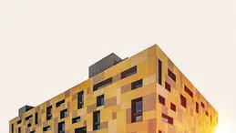 Balparmak, Türk Balını Global Pazara Taşıyarak İhracatta Zirveye Yerleşti