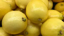 Limon İhracatı Miktarı Azaldı, Döviz Gelirleri Yükseldi!