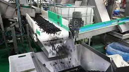 Marmarabirlik, İhracat Stratejisini Orta Doğu Pazarına Yönlendirdi