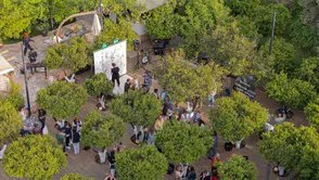 Bodrum Mandalina'da Sanatla Şekillenen Anlamlı Buluşma: Pernod Ricard Türkiye'den Özel Bir Adım!