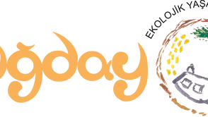 Buğday Sofrası'nda sağlıklı gıdanın yolculuğu ve ekolojik dengenin önemi tartışıldı