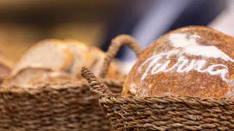 Puratos, Dünya Ekmek Günü’nü Turna Ekmeği ile Şereflendiriyor!