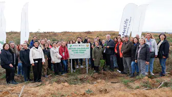 MetLife Türkiye, Ağaçlandırma Projesi ile Geleceği Yeşil Bir Temele Taşıyor!