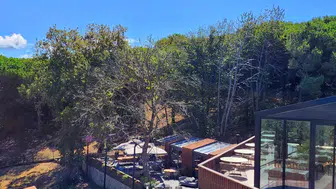 Laurel, İstanbul'da Unutulmaz Bir Kahvaltıdan Akşam Yemeğine Uzanan Lezzet Yolculuğu Sunuyor!