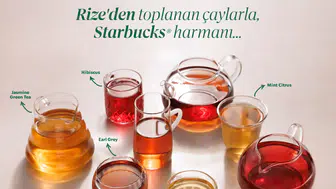 Starbucks'ta Yeni Çay Ailesiyle Tanışmanın Tam Zamanı!