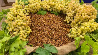 Türkiye, Küresel Kuru Üzüm İhracatında %30 Payla Liderliğe Oynuyor!