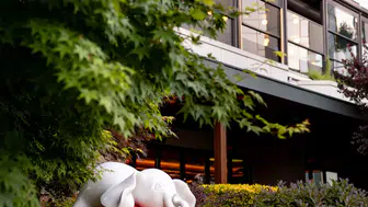 Swissôtel The Bosphorus’ta: Sanat ve Doğanın Büyüsü, Şehrin Merkeziyle Buluşuyor!