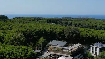 Doğanın Kucağındaki Gizli Lezzet: Keşfedilmeyi Bekleyen Gastronomi Cenneti!