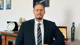 Ayvalık’a Özgü Yeşil Zeytinler, Kök Zeytincilik’ten!