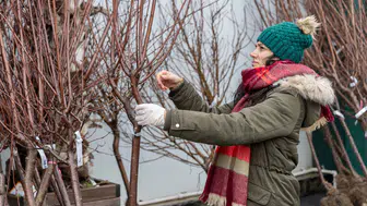 Bahçe Marketlerde Taze Dalından Meyve Coşkusu!