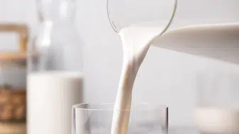 Thermomix® ile Vegan Mutfakta Lezzet Yolculuğuna Çıkın!