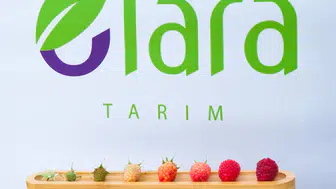 Elara Tarım'dan Sel Felaketlerine Karşı Dayanıklı Sera Çözümü!