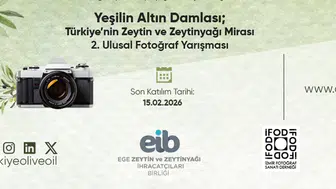 Zeytin Serüveni Görsel Sanatlarla Anlatılıyor: "Yeşilin Altın Damlası 2" Etkinliği Başladı
