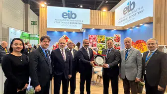 Yaş Meyve Sebze Sektöründen Almanya’ya 4 Milyar Dolar İhracat Hedefiyle Büyük Hamle!