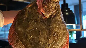 Şubat Ayına Özel Lezzet: Okra'nın Gözdesi Kalkan Balığı!