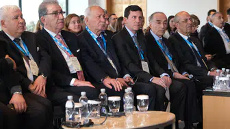 Zeytinyağı Sektöründen Rekolte Çalışmaları İçin AB'den Kota Talebi!